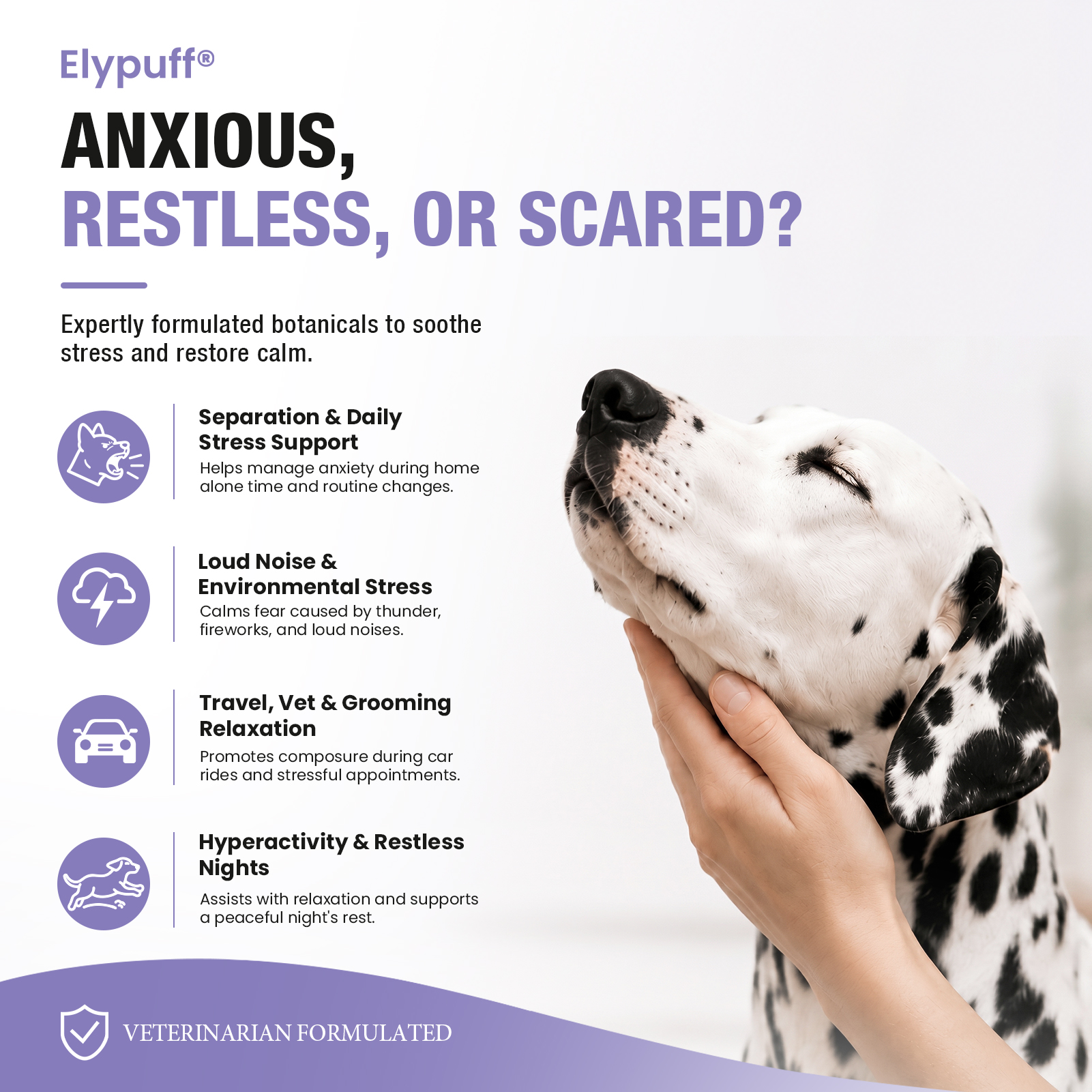 Relaxed Dalmatian being gently held, with common situations for Elypuff calm support listed beside it